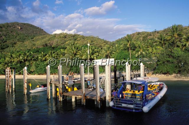 australie queensland 18.JPG - EmbarcadèreFitzroyd islandQueenslandAustralie